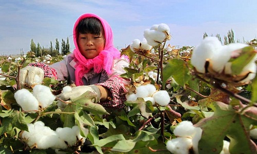 Chinas unloading of cotton stockpile