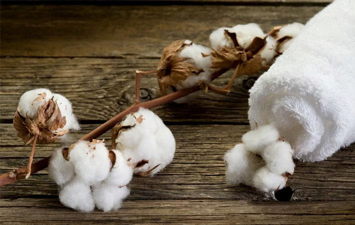Can cotton duty relief blunt US 50% tariff hit on Indian apparel?