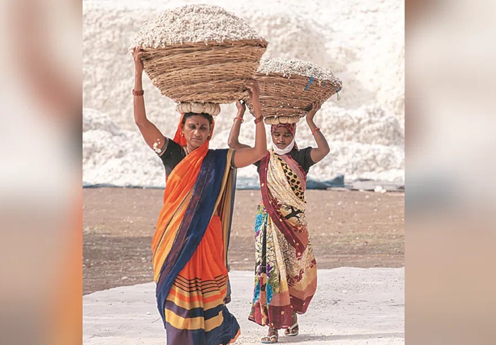 India balances farm interests and export ambitions with temporary cotton import relief