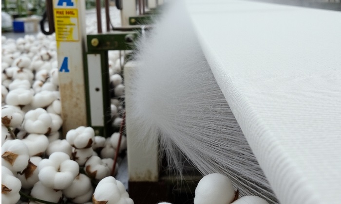 From cotton peaks to polyester pressures, textile supply chains face a reset