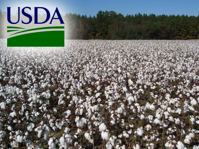 USDA forecasts global cotton market outlook