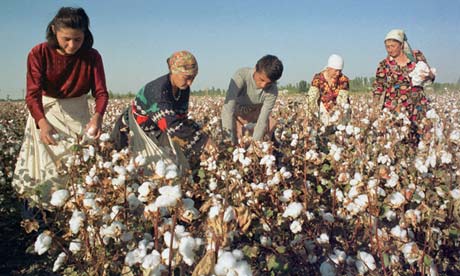 Uptake of sustainable cotton needs a boost from