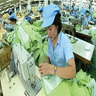 Vietnam textile  garment export