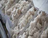 Wool industry needs to become more user centric 002