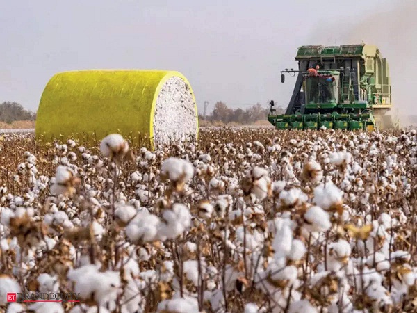 Brands face a lose lose situation Chinas Xinjiang cotton issue