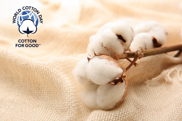 Can cotton weave a better future for fashion