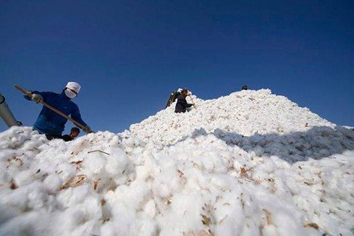 Chinas strategic procurement of US cotton to balance import losses
