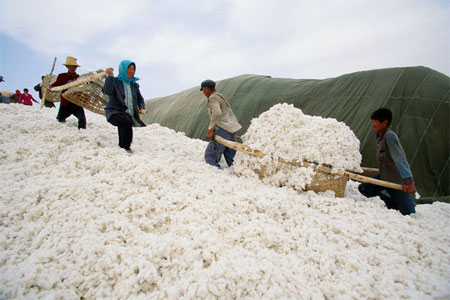 Chinas cotton exports under scanner as US looks to diversify
