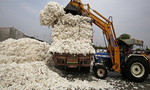 Cotton import export to see a sudden shift amid US China trade war 001