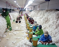 Cotton processing market to reach 72.6 billion by 2023 002