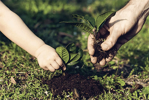 Global textile and apparel industry