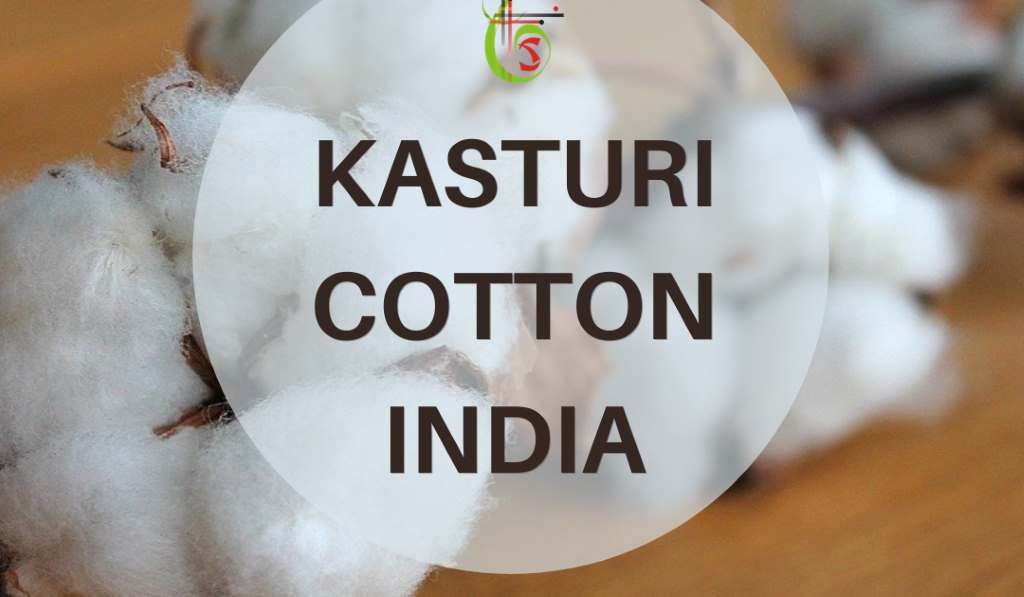 Indias Kasturi Cotton initiative a new era for high quality cotton