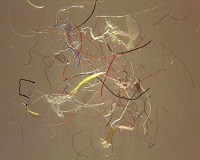 Microfibers, both natural and synthetic emerge top global pollutants