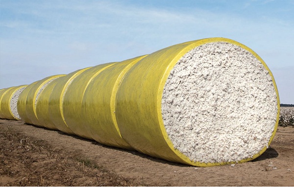 Pandemic restrictions economic slowdown dampen global cotton prices in 2022