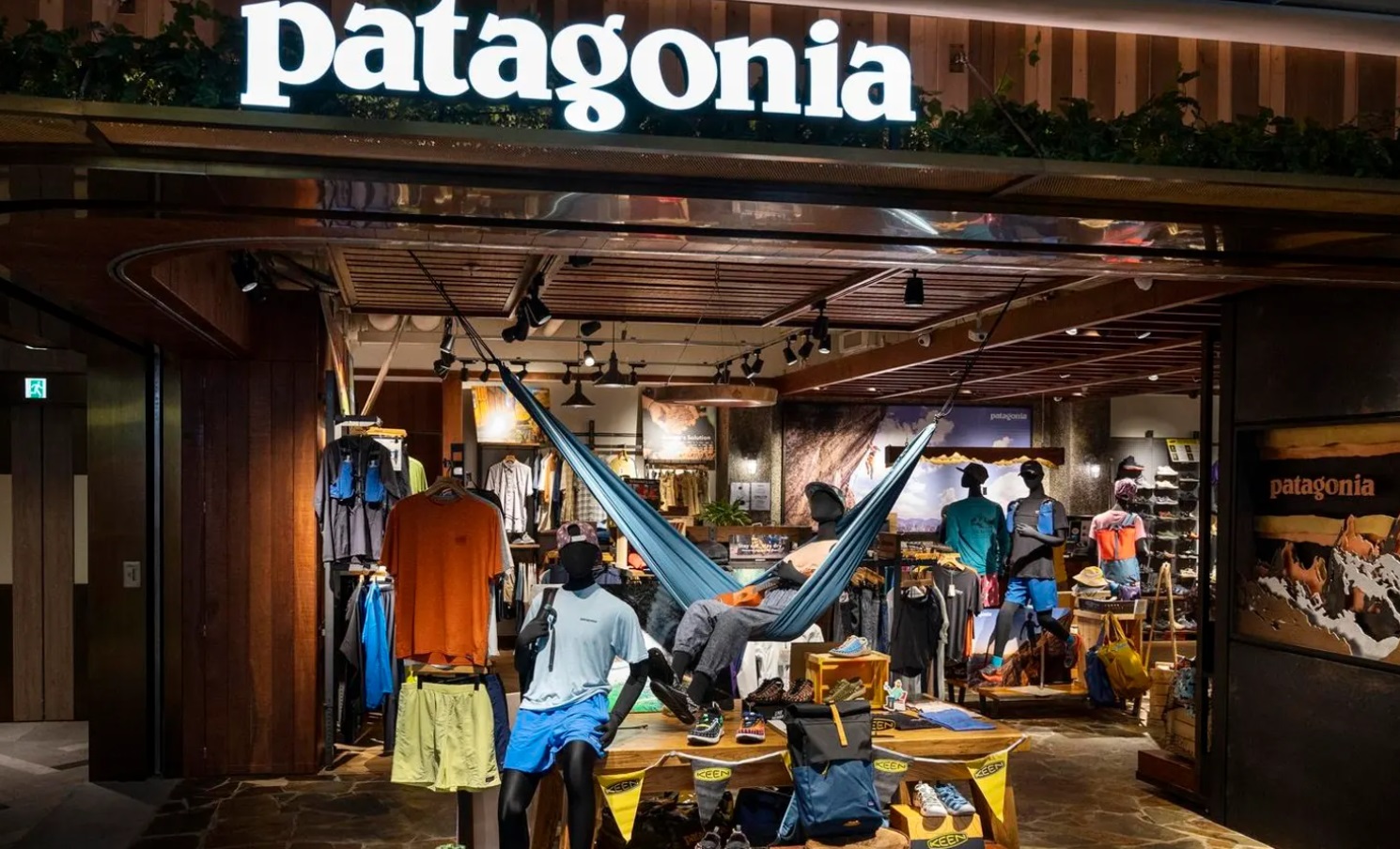 Patagonia's Anti-Consumerist Message: Can a clothing company be sustainable and profitable?