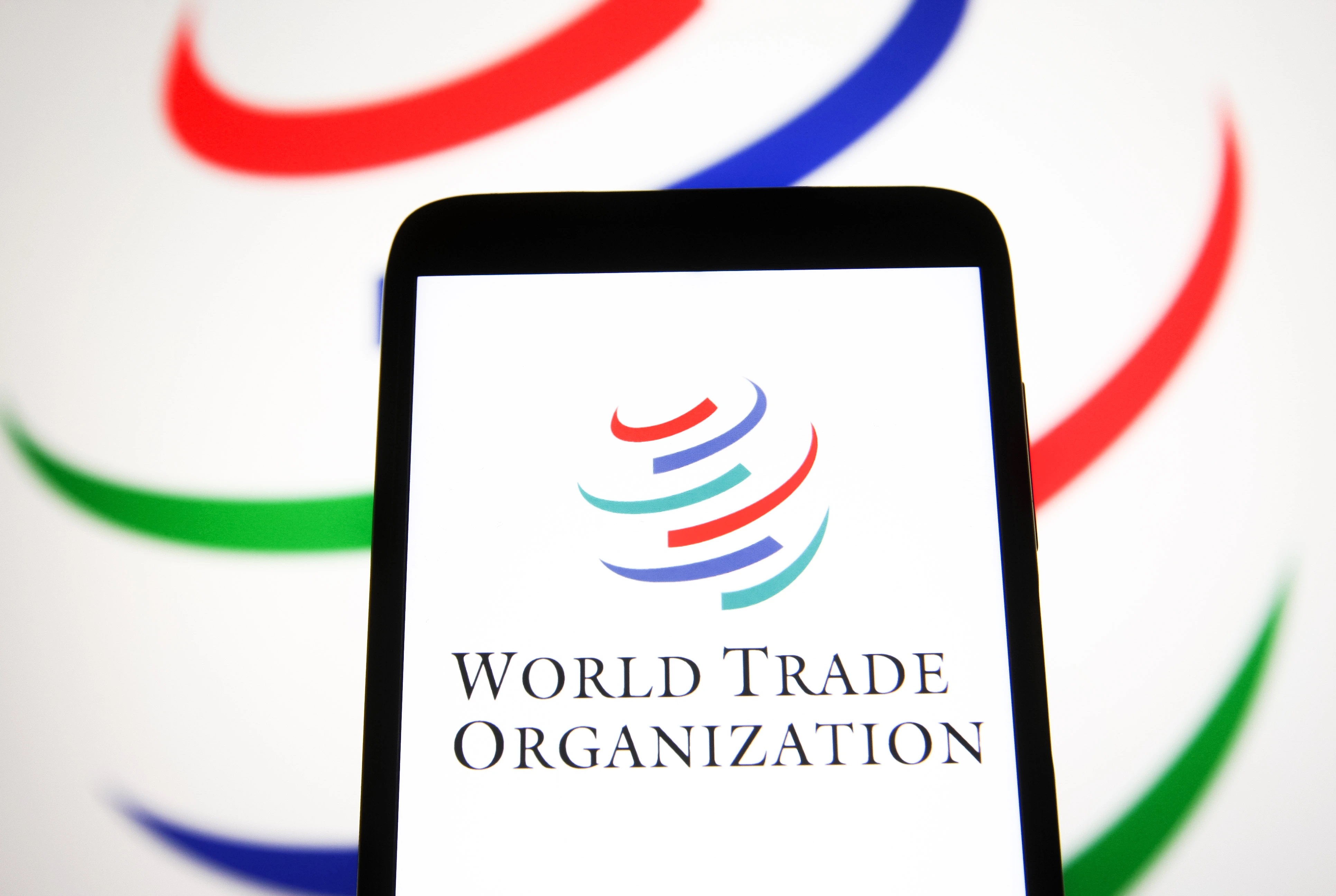 Regulatory norms for e-commerce sector in focus among WTO members