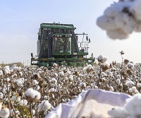 US apparel groups unite to ban forced labor