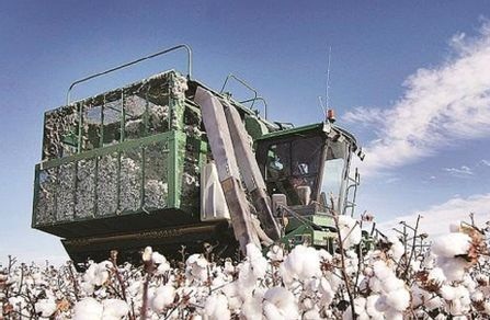 Xinjiang Cotton Ban An opportunity for India to boost