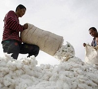 Xinjiang Cotton Ban An opportunity for India to boost exports