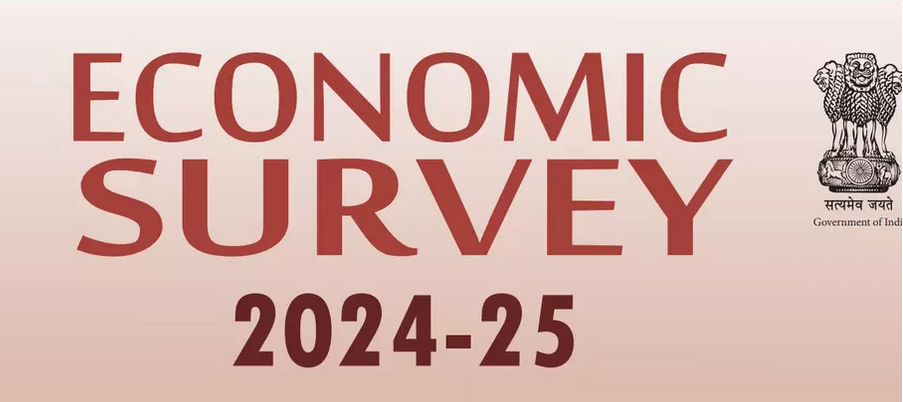 Economic Survey 2024-25: A mixed bag for the textile, apparel industry