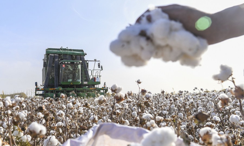 Xinjiang Cotton A tangled web of production trade and geopolitics has implications for India
